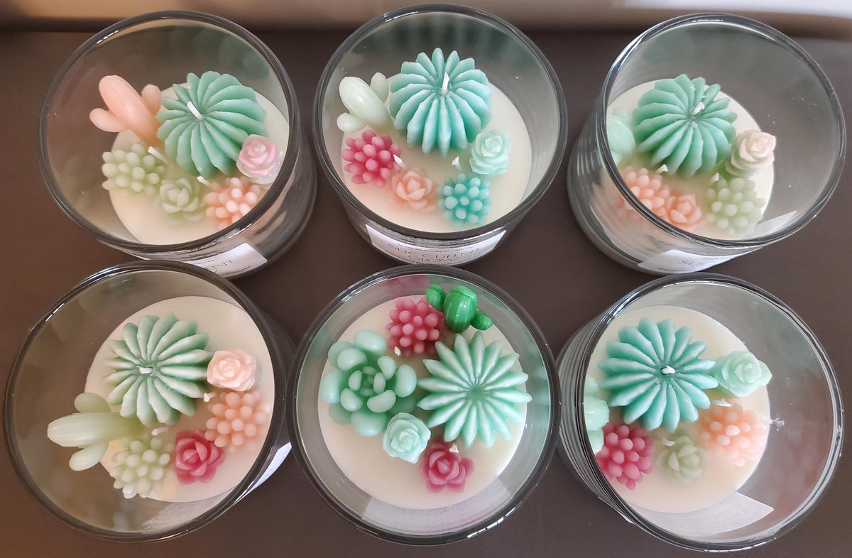 Succulent Terrarium Candle/ Soy Candle/ Gifts for her/Housewarming/ Mother's day gift/