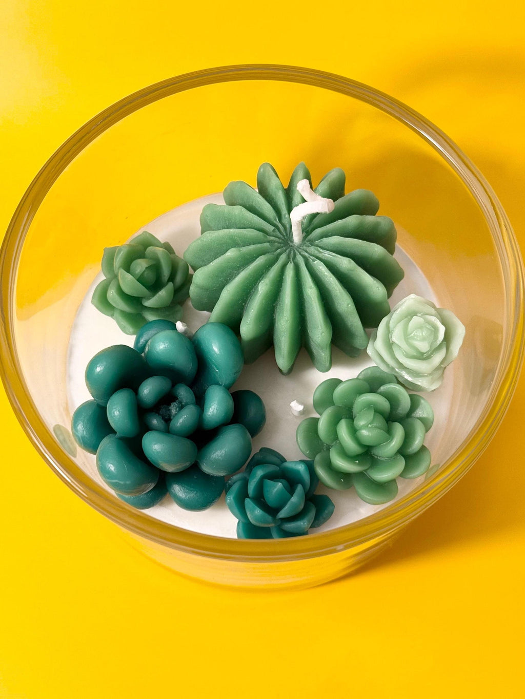 Succulent Terrarium Candle: Hand-Poured Soy Wax Candle