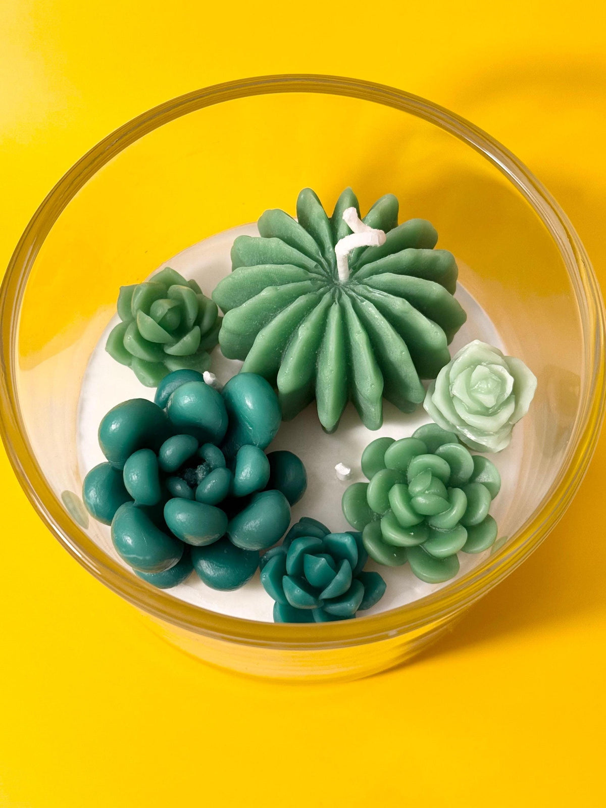 Succulent Terrarium Candle: Hand-Poured Soy Wax Candle