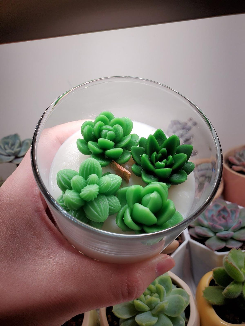 Succulent Terrarium Soy Candle: Handmade Plant Gift