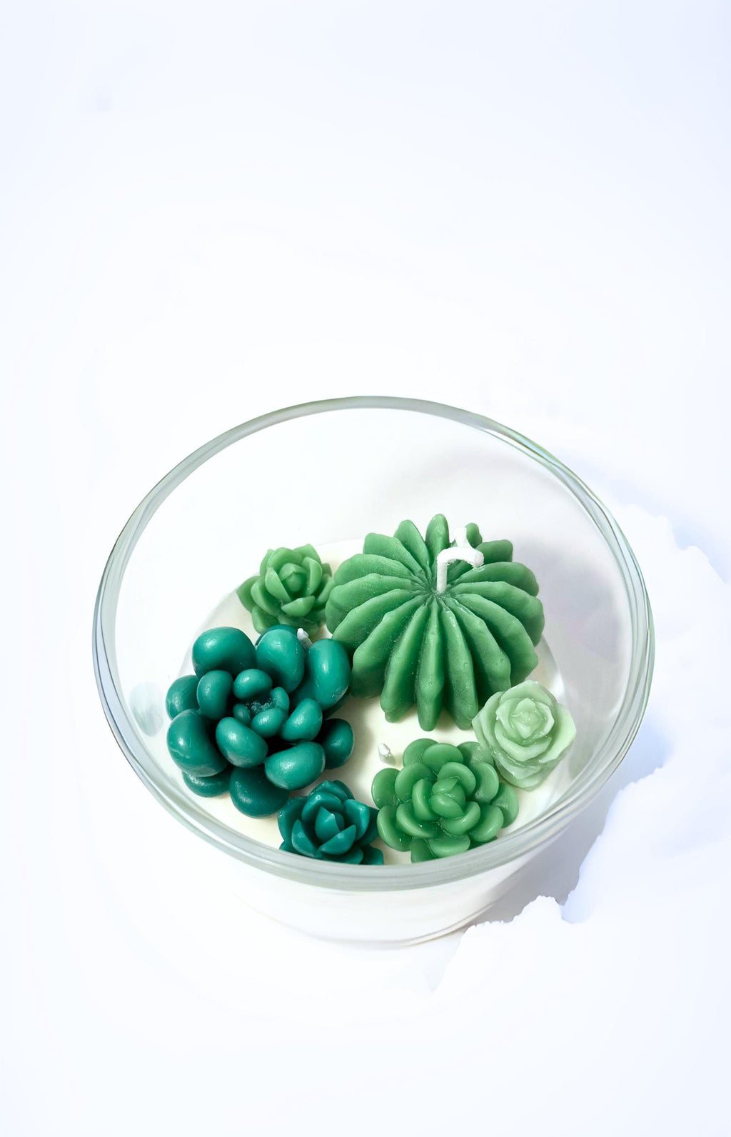 Succulent Terrarium Candle: Hand-Poured Soy Wax Candle