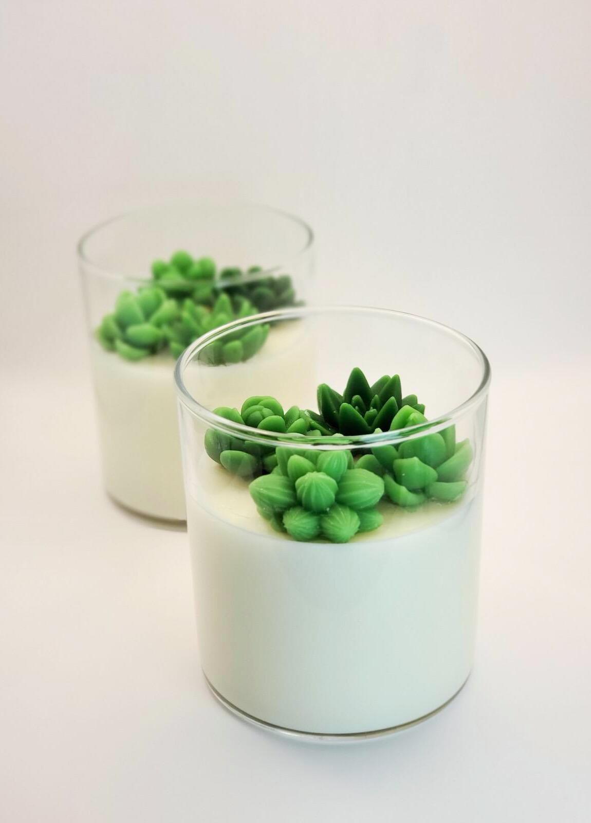 Succulent Terrarium Soy Candle: Handmade Plant Gift